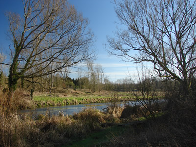 River Avon Countess